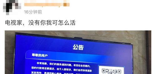 知名App暂停服务 技术服务中断的冲击与反思