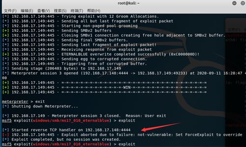 Kali Linux系统下防御永恒之蓝勒索病毒实战指南 网络安全工程师的技术服务详解